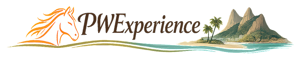PW EXPERIENCE LTDA